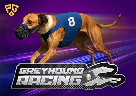 8 Greyhound Racing